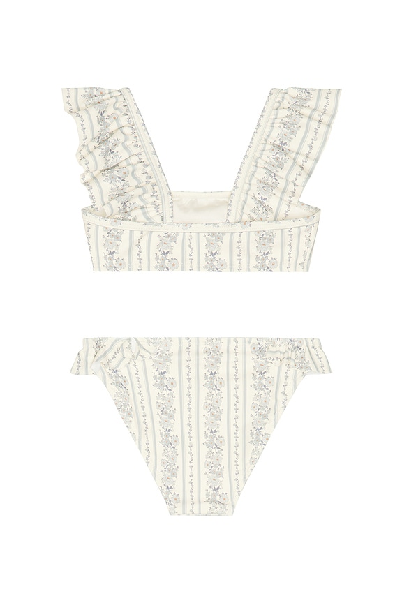 view 2 of 2 Hanalei Two Piece Swimsuit in Blue Floral