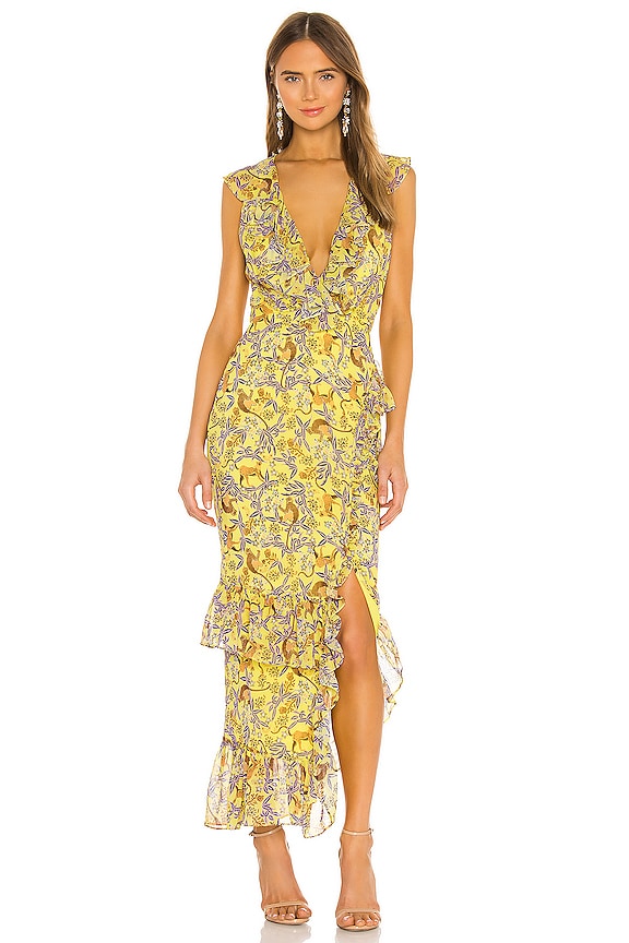 view 1 of 3 Anita Dress in Citrus Jungle Monkey