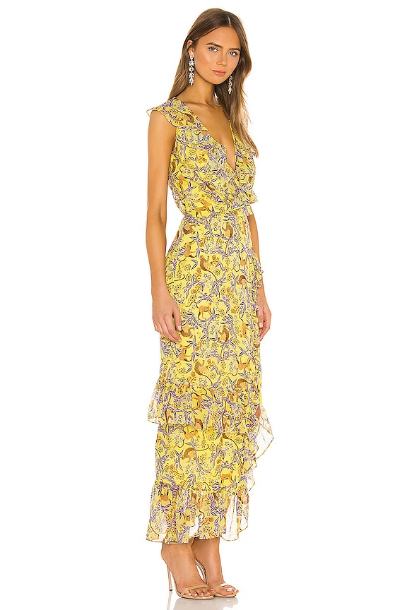 view 2 of 3 Anita Dress in Citrus Jungle Monkey