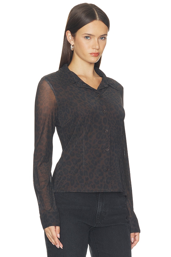 view 2 of 4 Fitted Mesh Button Down Top in Espresso Leo