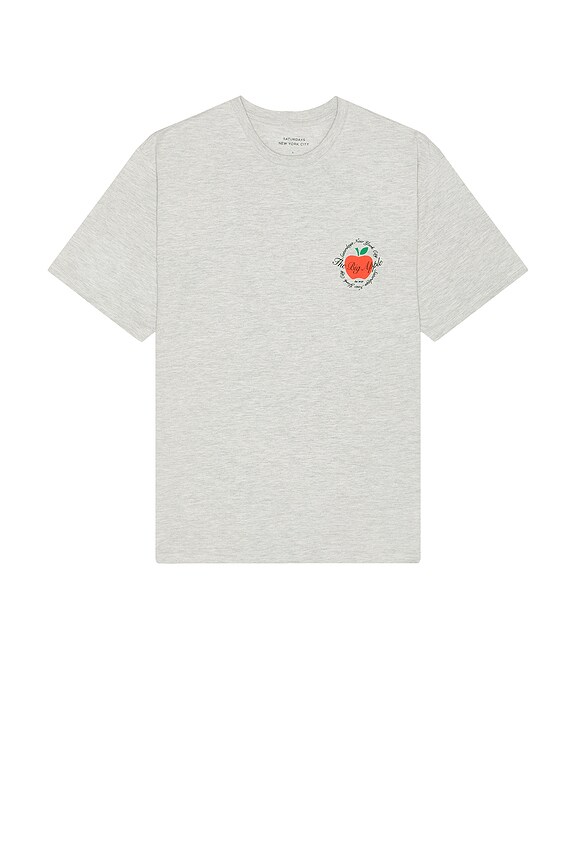 view 2 of 3 The Big Apple Standard Short Sleeve Tee in Ash Heather