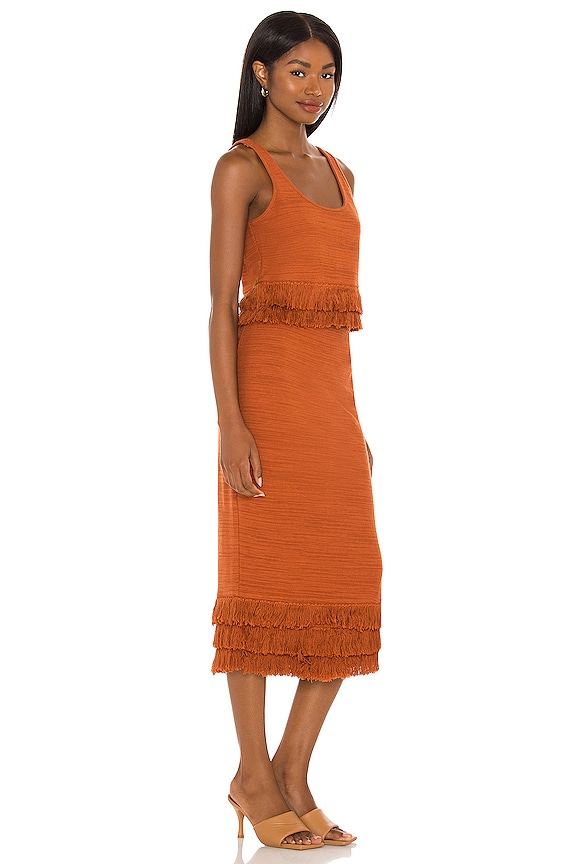 view 2 of 3 Staunton Dress in Cinnamon