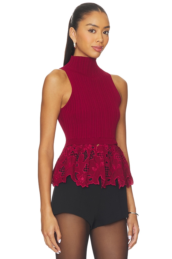 view 2 of 4 Chantelle Top in Wine