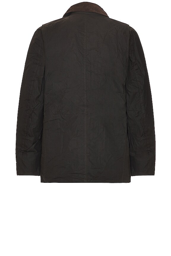 view 2 of 3 CHAQUETA COTTON in Olive