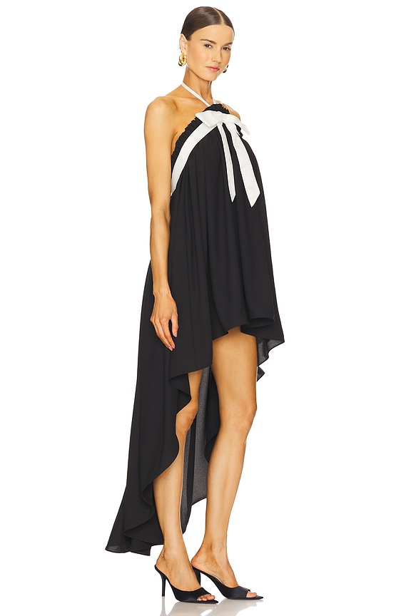 view 2 of 4 Penelope Maxi Dress in Black & White