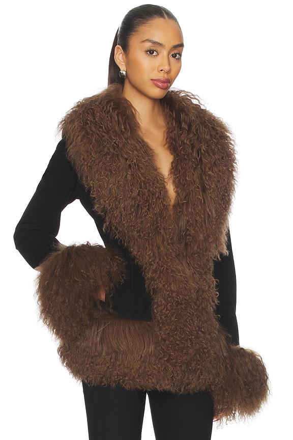 view 2 of 4 Dorothy Suede Coat in Black & Brown Trim