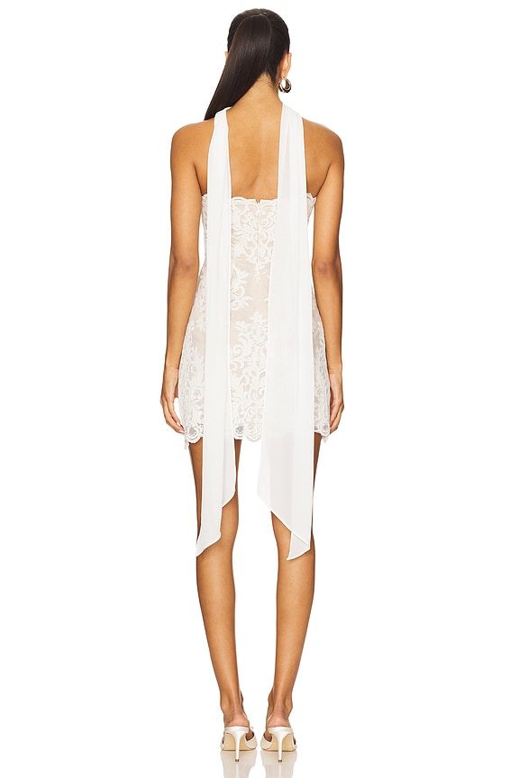 Stone Cold Fox ~ Amanda Mini Dress