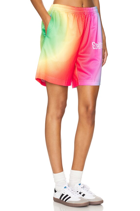 view 2 of 6 Sublime Mesh Short in Multi