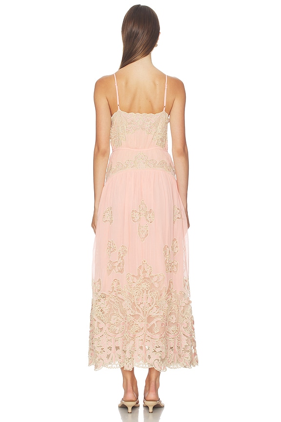 Gracelyn Lace Embroided Maxi Slip Dress
