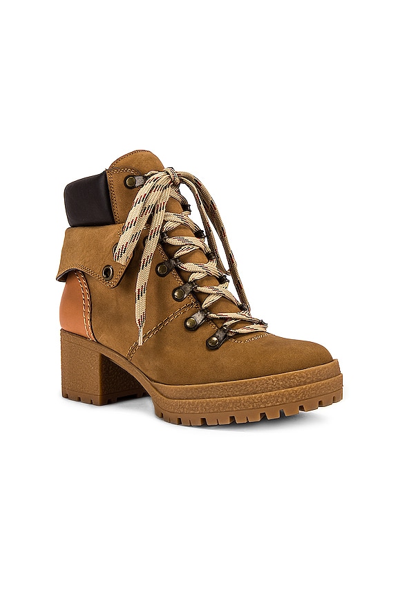 view 2 of 5 BOTA EILEEN in Tortora