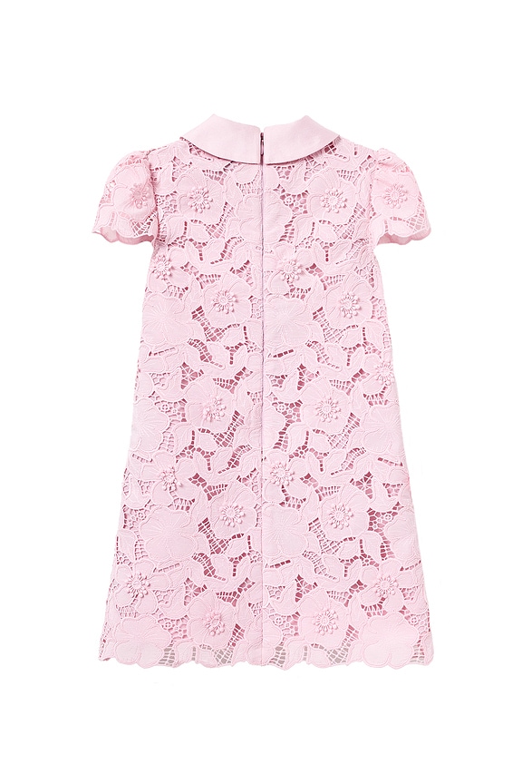 view 2 of 2 ROBE DENTELLE in Pink