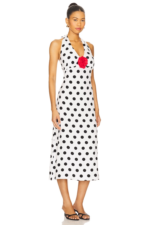 view 2 of 3 Jardin Halter Neck Maxi Dress in Polka Dot Black & White