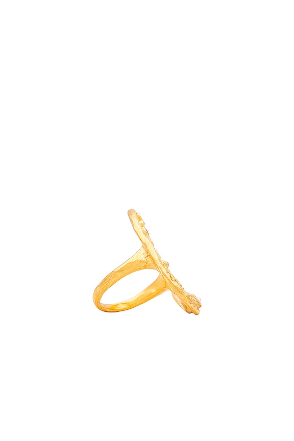 view 2 of 3 Sandbar Statement Ring in Gold