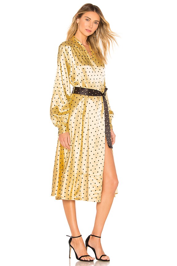 view 2 of 3 Reflection Dress in Dots