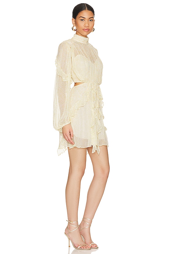 view 2 of 3 Gina Ruffle Mini Dress in Limoncello
