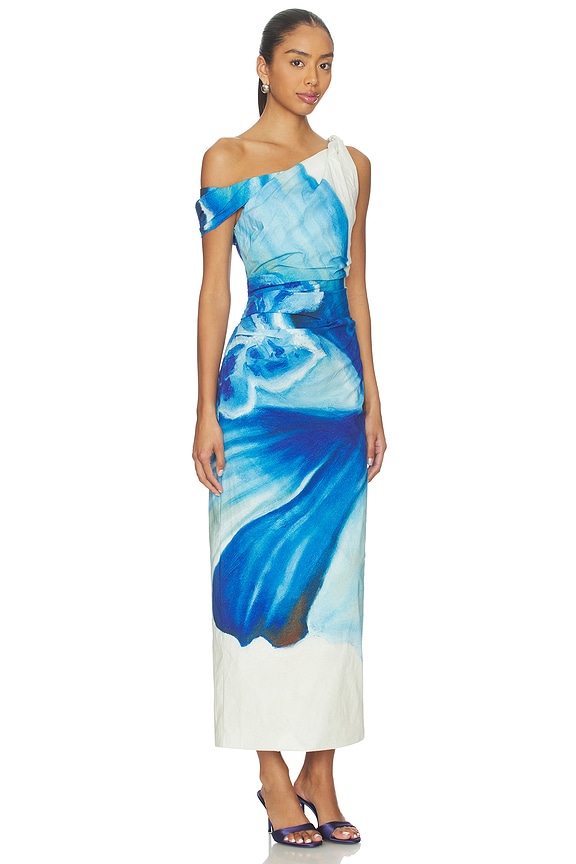 view 2 of 4 Olea Maxi Dress in Hyperbloom