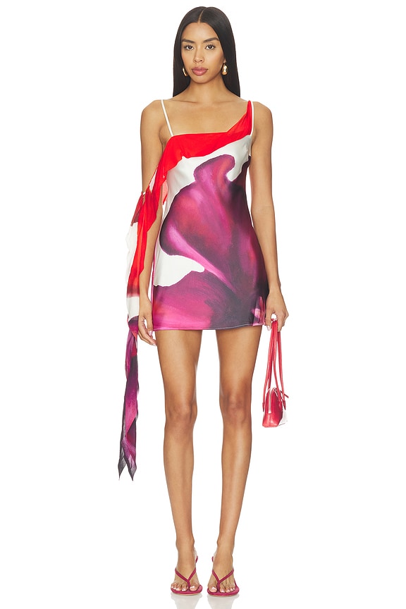 view 1 of 3 Derby Mini Dress in Poppy Botanic