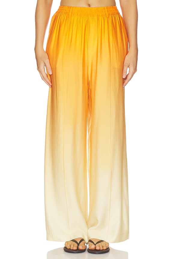 view 1 of 6 Bennet Pant in Solarflare