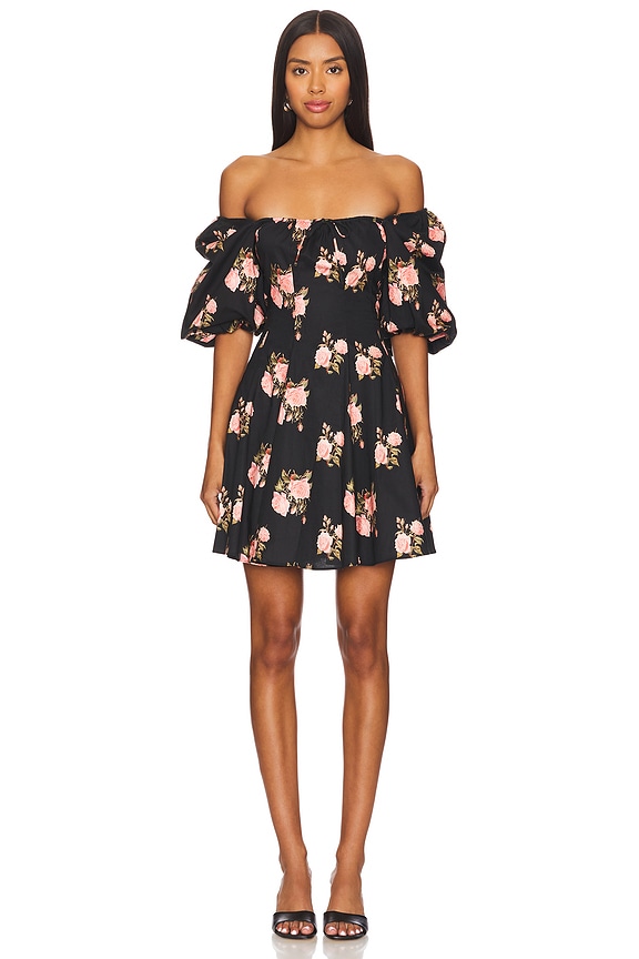 view 2 of 4 The Mini Day Dress in Night Rose