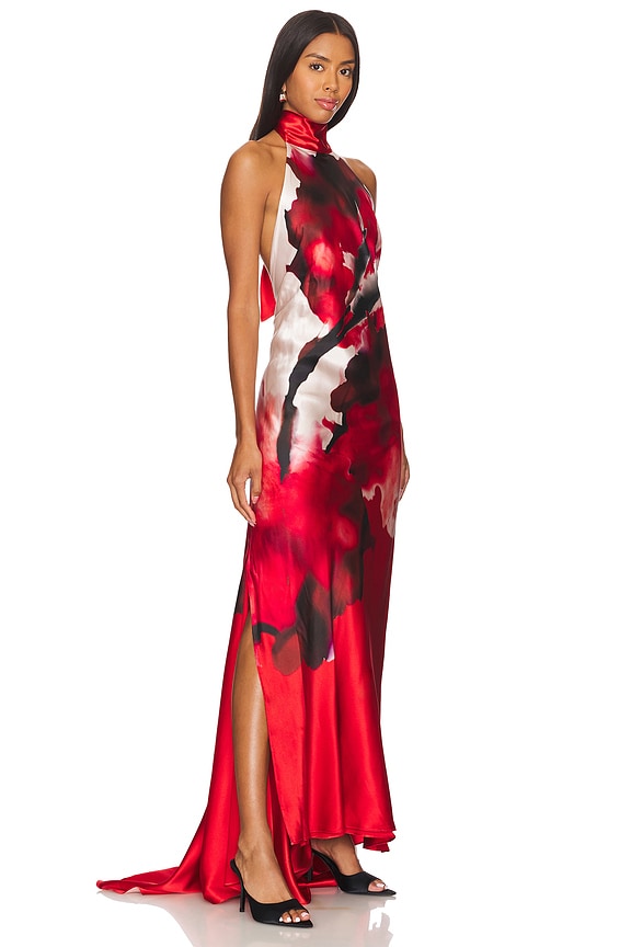 view 2 of 4 Sherry Dress in Pomegranate Abstract Flowers