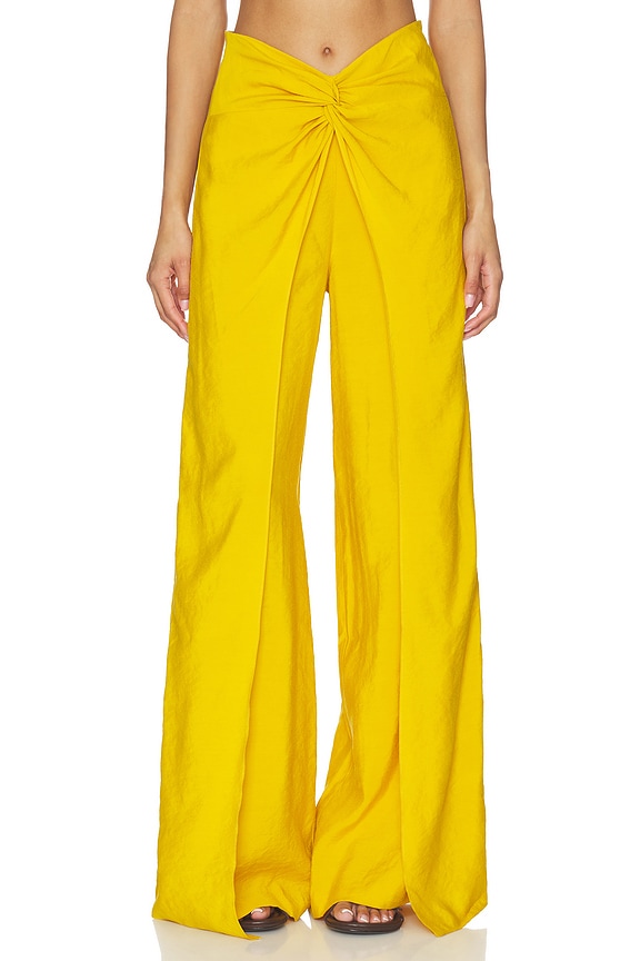 view 1 of 6 PANTALON CANTURIPE in Amber