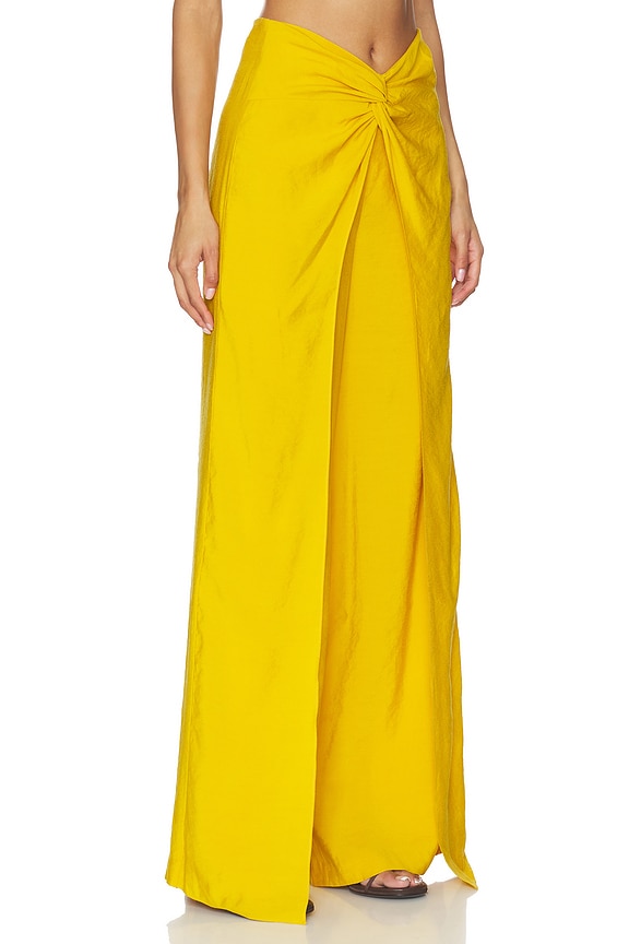 view 2 of 6 PANTALON CANTURIPE in Amber