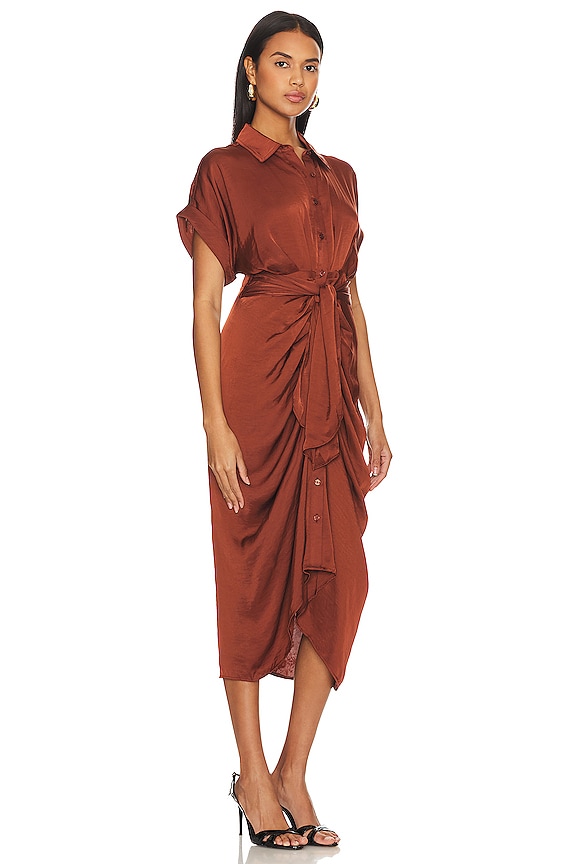 view 2 of 3 Tori Midi Dress in Cinnamon