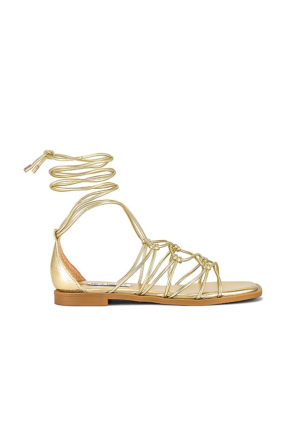 Steve Madden Ainsley Sandal in Gold | REVOLVE