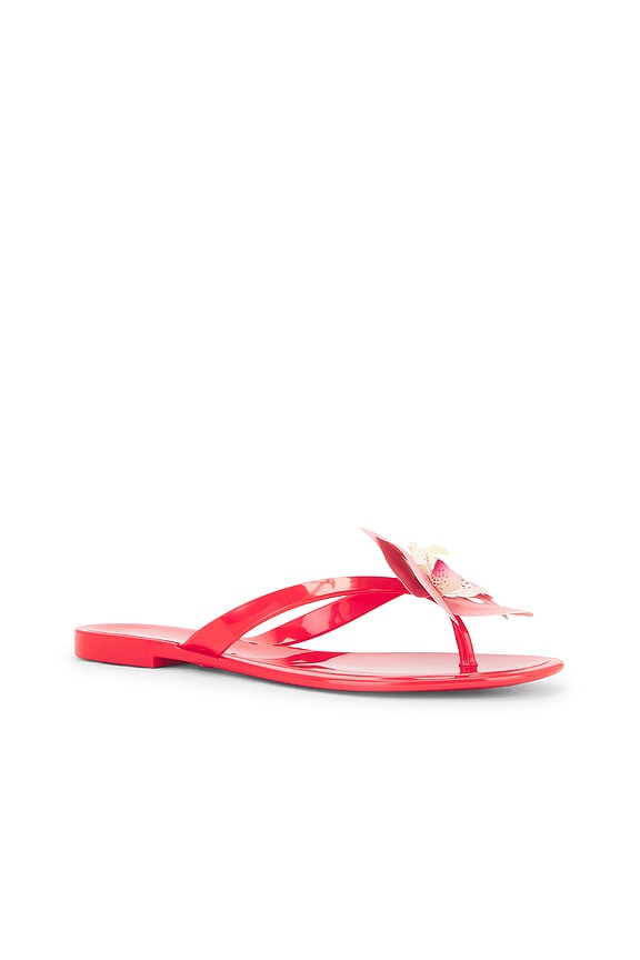 view 2 of 5 Poppyseed Sandal in Red
