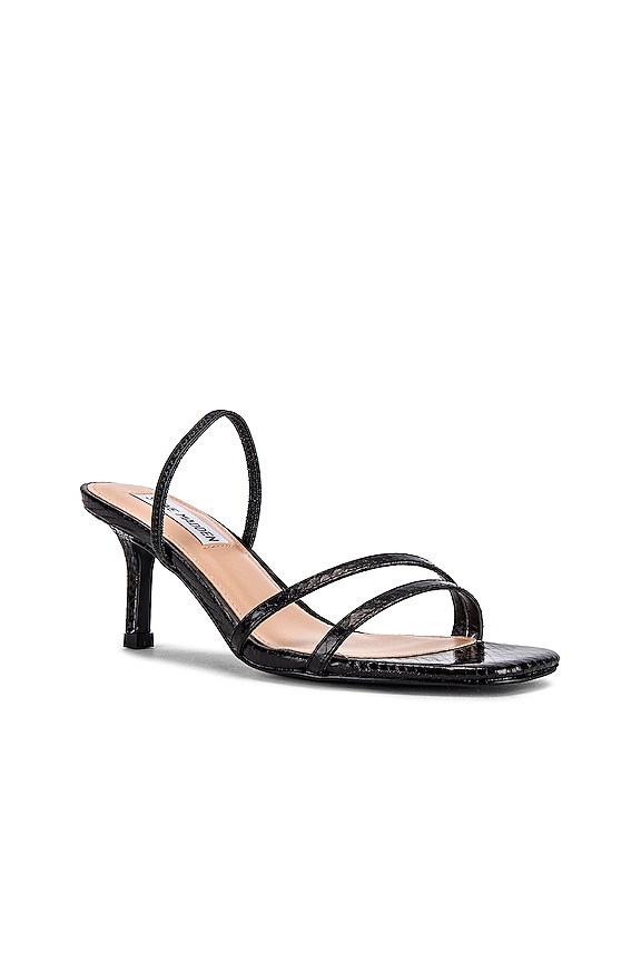 view 2 of 5 Loft Kitten Heel in Black Snake