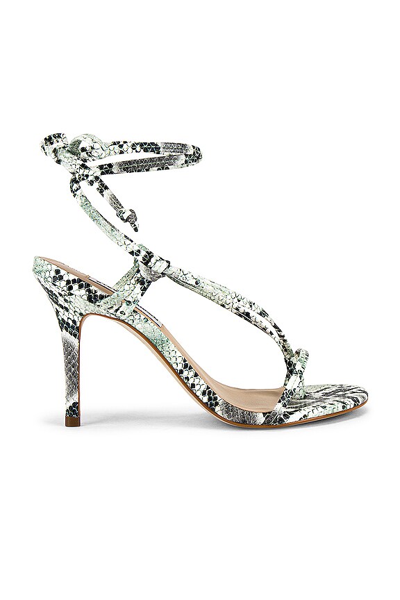 view 1 of 5 Status Stiletto in Black & White Snake