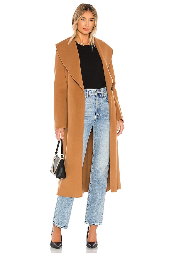 view 1 of 4 Eleonore Coat in Camel