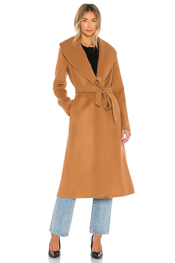 view 2 of 4 Eleonore Coat in Camel