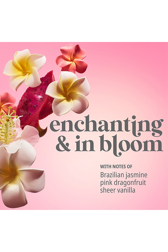 view 2 of 4 Beija Flor Biggie Biggie in 