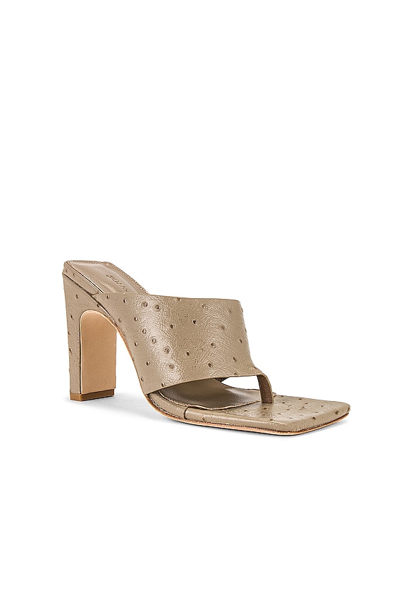 view 2 of 5 GEO 힐 in Mocha