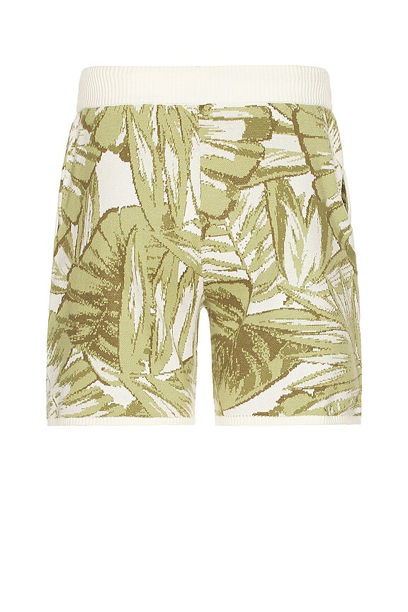 view 2 of 4 ШОРТЫ in Sage Palm
