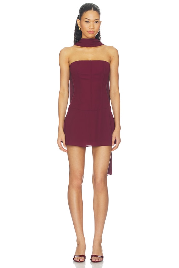 view 1 of 4 Jayleen Mini Dress in Plum