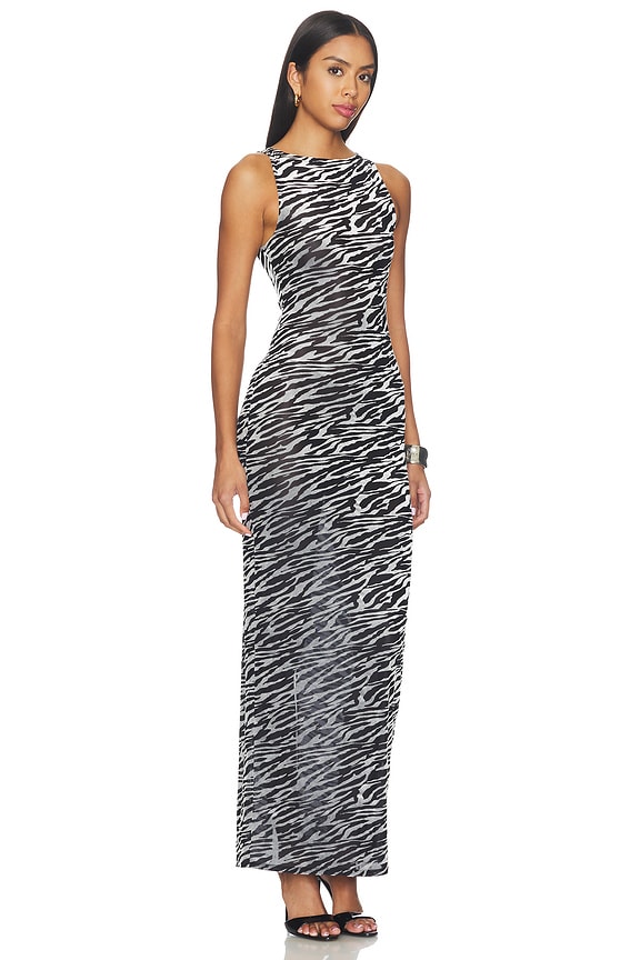 view 2 of 3 Daranna Maxi Dress in Zebra Burnout