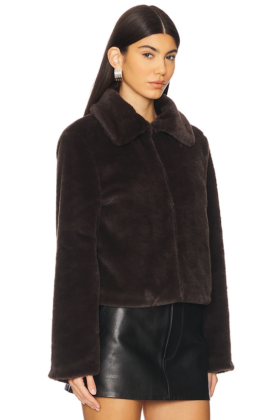 view 2 of 4 Tianna Faux Fur Jacket in Espresso