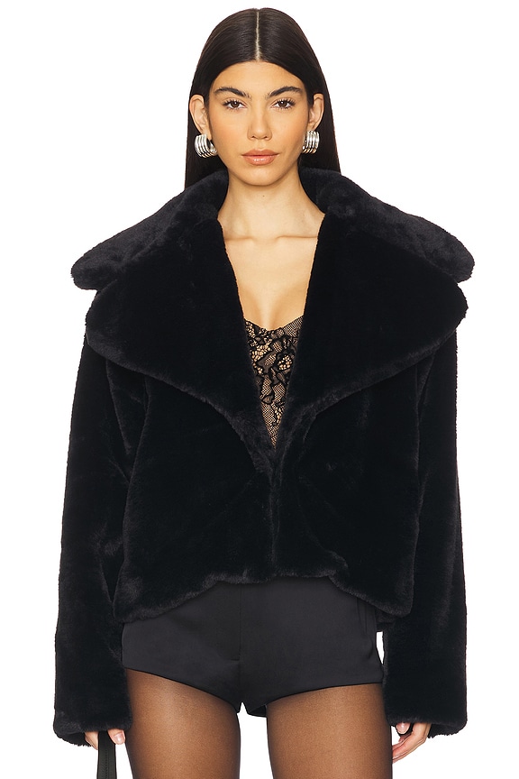 view 2 of 5 Willow Faux Fur Coat in Black