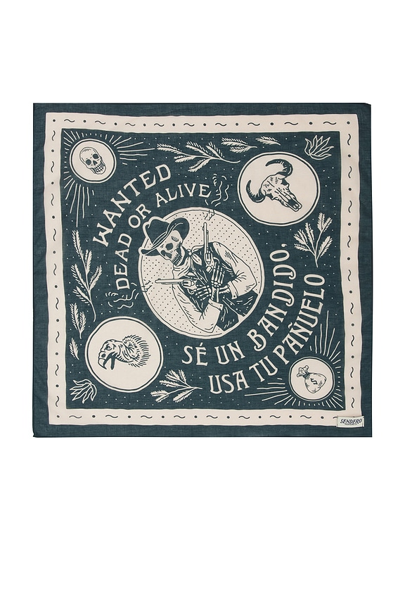 view 1 of 3 ÉCHARPE DEAD OR ALIVE in Teal