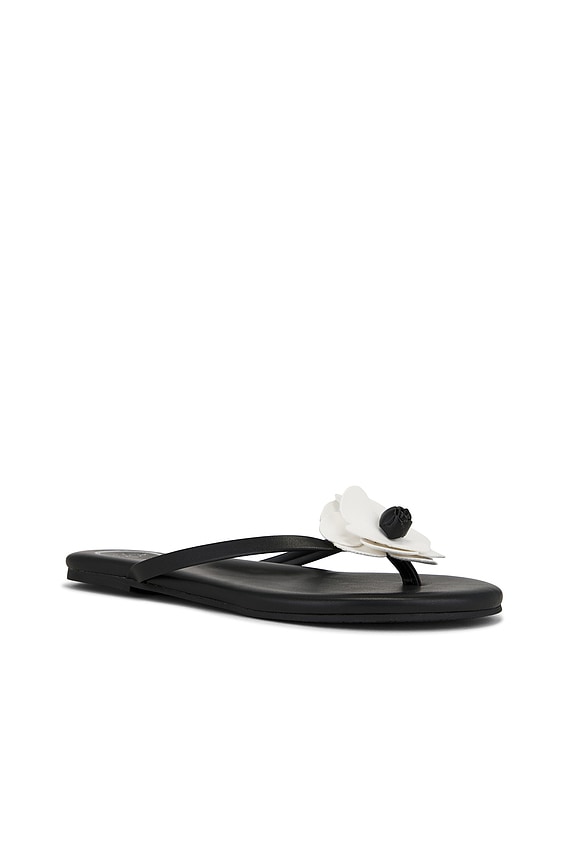 view 2 of 5 Valentina Sandal in Black & White