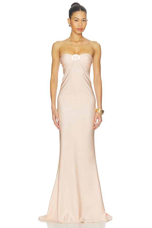 view 1 of 5 Rose Maxi Dress in Pink Blush
