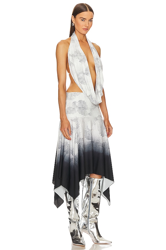 view 2 of 3 Valeh Dress in Ombre Snake