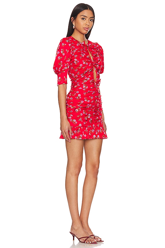 view 2 of 4 Mini Ruffle Dress in Wildeve Cluster & High Risk Red Combo