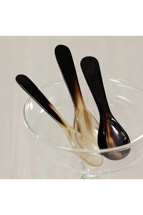 view 2 of 2 Set of 4 Horn Condiment & Caviar Spoon in 