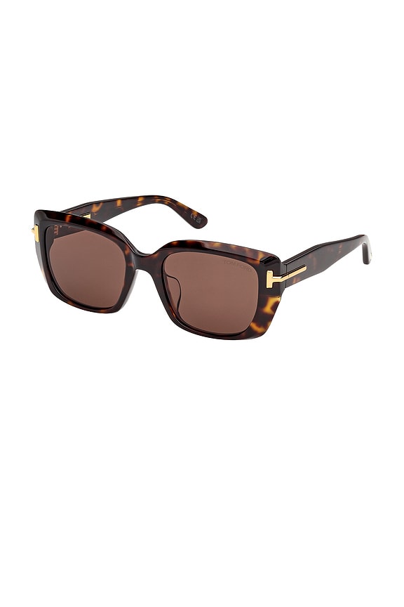 view 2 of 3 LUNETTES DE SOLEIL SQUARE in Shiny Dark Havana & Brown