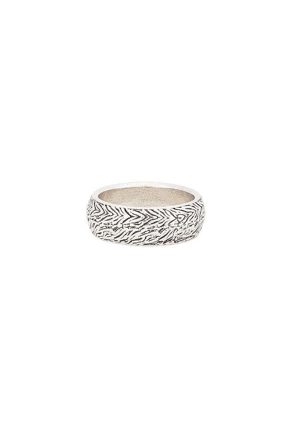 view 2 of 2 Zebra Ring in Plata