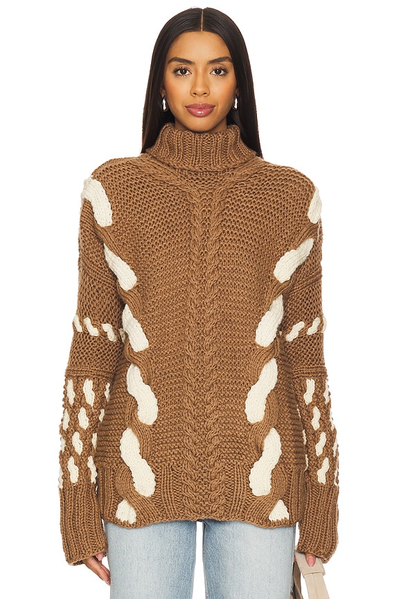 view 1 of 4 Barbora Turtleneck in Brown