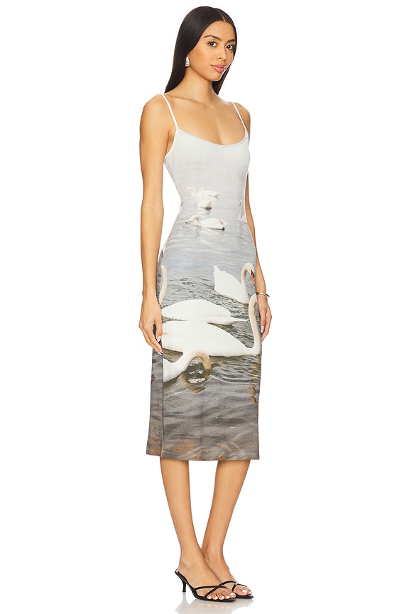 view 2 of 4 Swan Dress in Swan Print